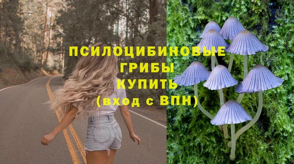 дурь Богородицк